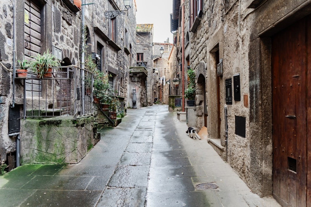 compro oro viterbo